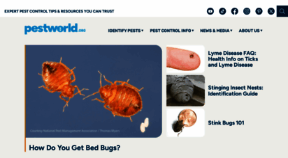 pestworld.org