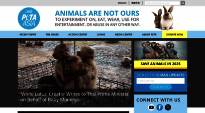 petaasia.com - 