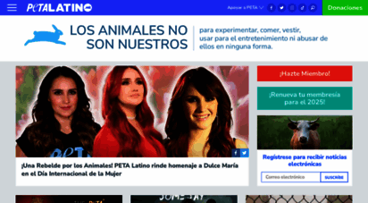 petalatino.com