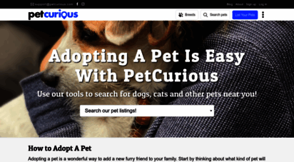 petcurious.com - search cats & dogs for adoption from shelters and rescues  petcurious