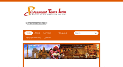 professionaltoursindia.com