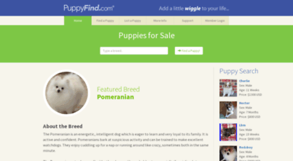puppyfind.com - puppyfind  puppies for sale