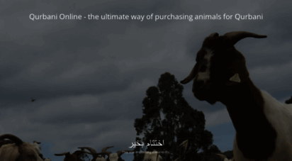 qurbanionline.com