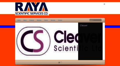 rayasci.com