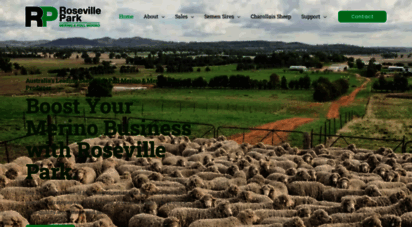 rosevilleparkmerinos.com.au