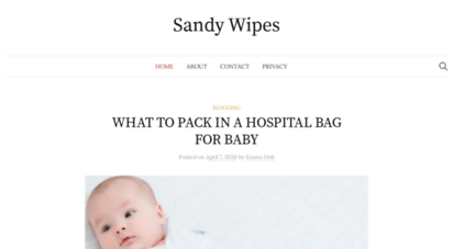 sandywipes.com