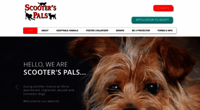 scooterspals.org
