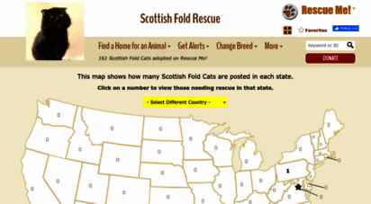 scottishfold.rescueme.org