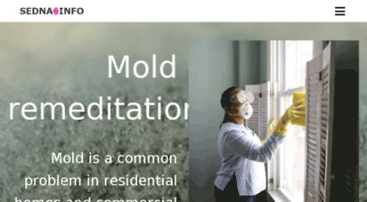 sednainfo.com