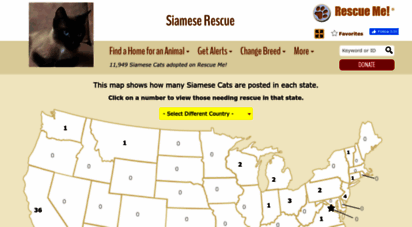 siamese.rescueme.org