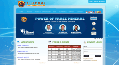 sinergiglobal.com