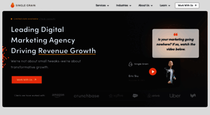 singlegrain.com - digital marketing agency / online marketing agency with a strict roi focus.