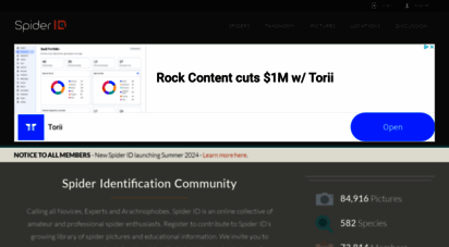 spiderid.com