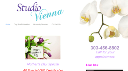 studioviennadayspa.com