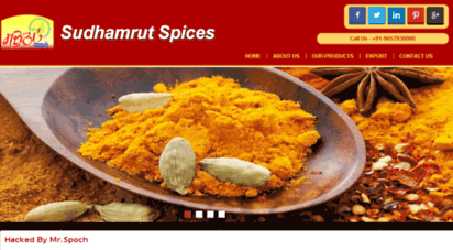 sudhamrutspices.com