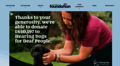 supportadoptionforpets.co.uk