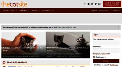 thecatsite.com - thecatsite