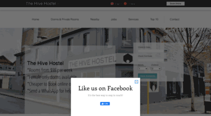 thehivehostel.com.au