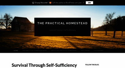 thepracticalhomestead.wordpress.com