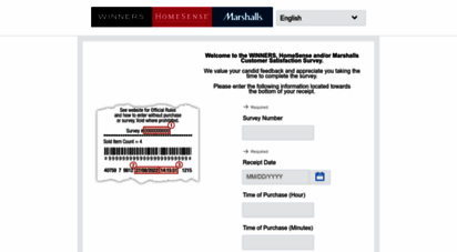 tjxcanada-opinion.ca