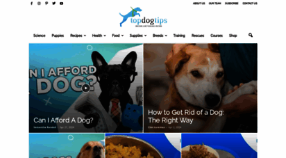 topdogtips.com - top dog tips - dog food recipes, care tips & best dog supplies reviews