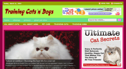 trainingcatsndogs.com