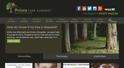 treesurgeryshenfield.co.uk