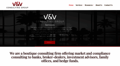 vandvconsultinggroup.com