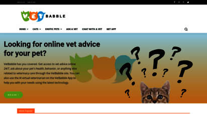 vetbabble.com - vetbabble  your home for helpful, fun and factual pet care info
