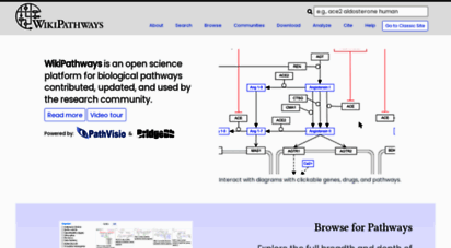 wikipathways.org