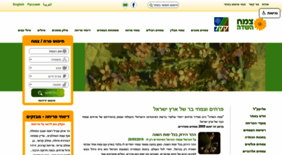 wildflowers.co.il - צמח השדה :: פרחים וצמחי הבר של ארץ ישראל :: דף הבית