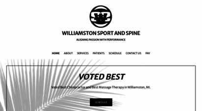 williamstonsportandspine.com