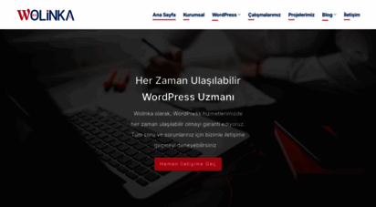 wolinka.com.tr - wolinka - profesyonel wordpress hizmeti